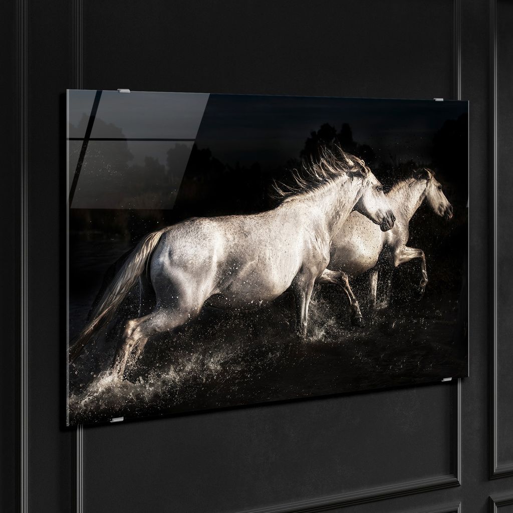 Üveg falikép 80x120 cm, fekete-fehér lók - les chevaux - butopêa